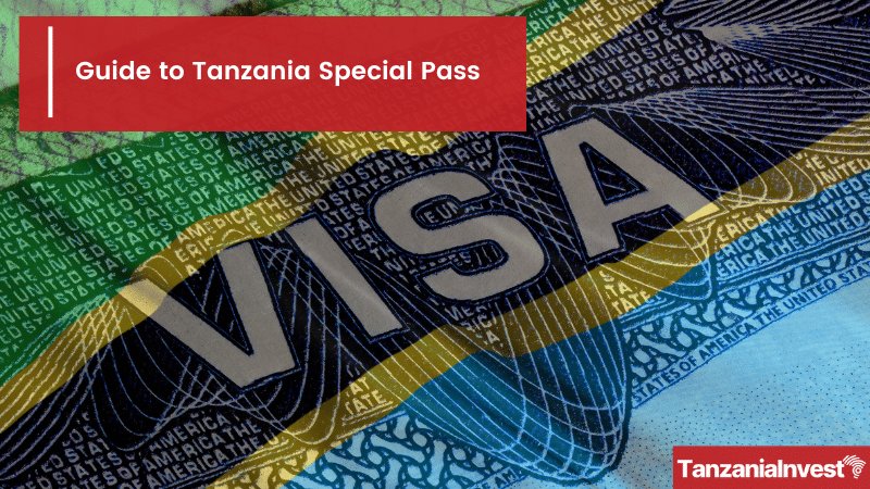 Guide to Tanzania Special Pass