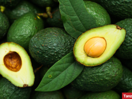 Tanzanian avocados