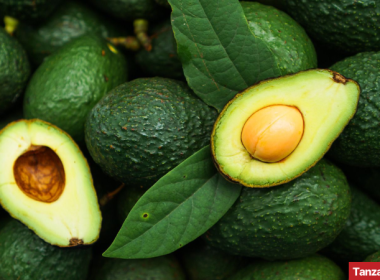 Tanzanian avocados