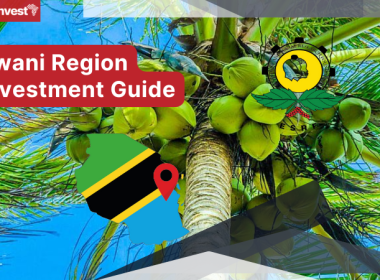 Tanzania Pwani Region Investment Guide