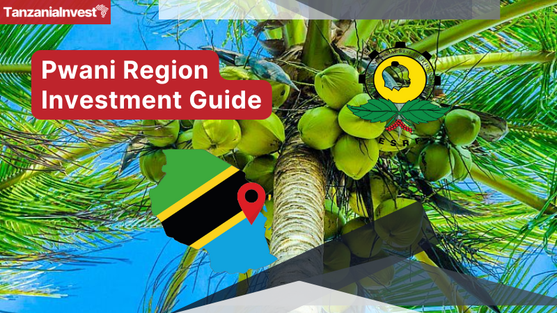Tanzania Pwani Region Investment Guide