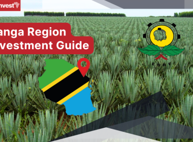 Tanzania Tanga Region Investment Guide