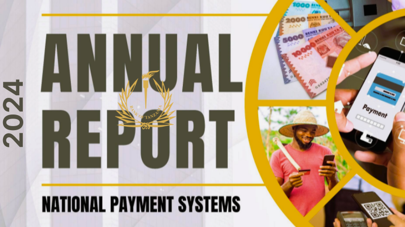 Bank of Tanzania Annual Payment Systems Report 2024
