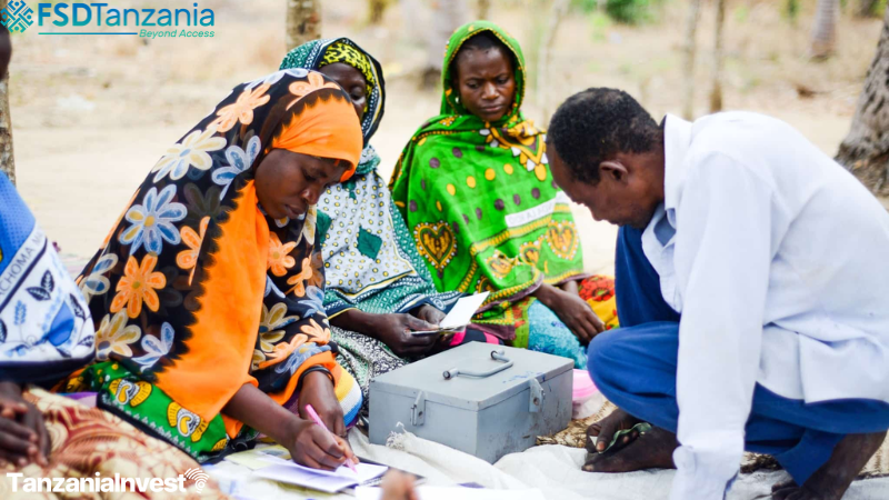 FSDT Community Microfinance Groups Tanzania