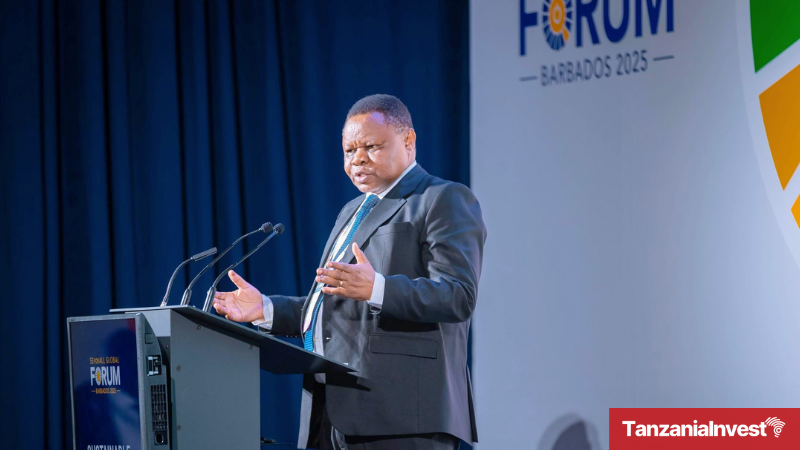 Felchesmi Mramba SEforALL conference geothermal energy Tanzania