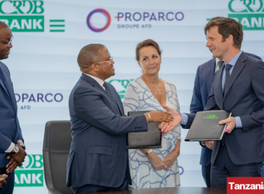 Proparco CRDB MSME financing Tanzania