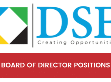 Board of Director Positions DSE Tanzania