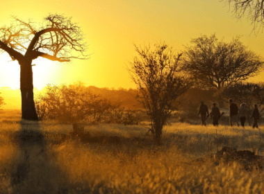 Ruaha National Park