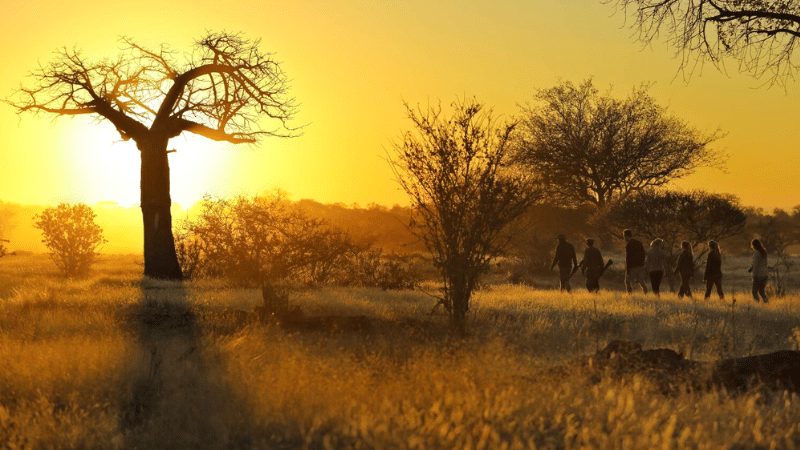 Ruaha National Park