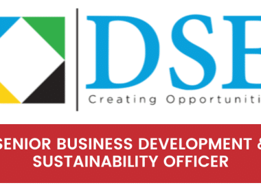 Senior Business Development & Sustainability Officer DSE Tanzania