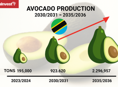 Tanzania Avocado Production 2024-2036