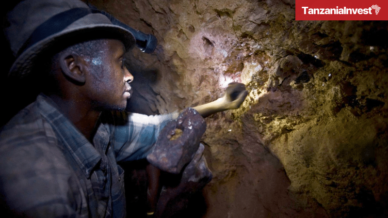 Tanzania Small-Scale Miners