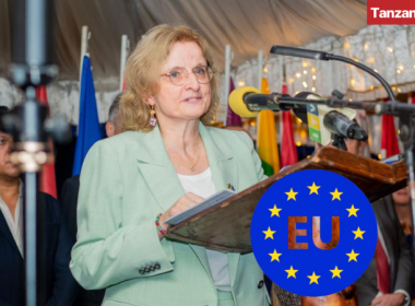 EU Tanzania Cooperation Speech Christine Grau 2025