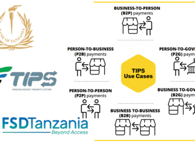 Tanzania Instant Payment System (TIPS) use cases