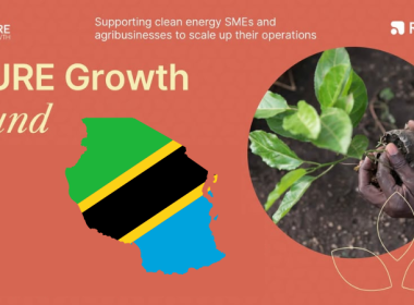 Tanzania PURE Growth Fund REEP