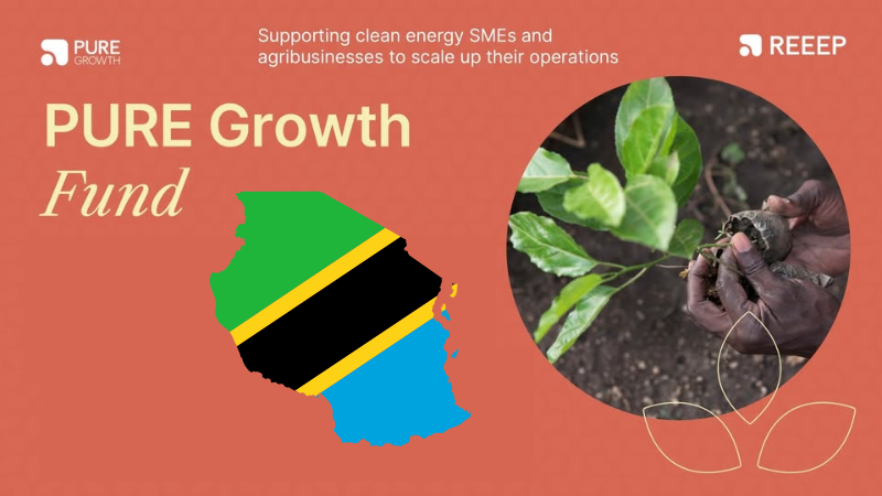 Tanzania PURE Growth Fund REEP