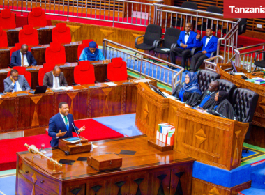 Tanzania Parliament Nchemba