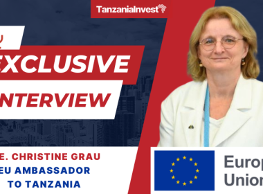 TanzaniaInvest Interview Christine Grau EU Ambassador to Tanzania