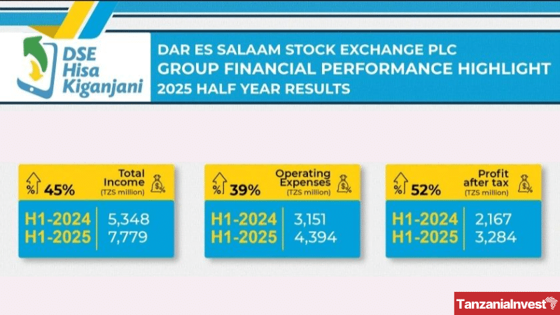 Tanzania DSE performances H1 2025
