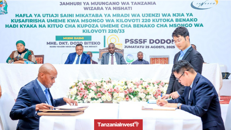 Tanzania Kagera Region contract electricity grid connection