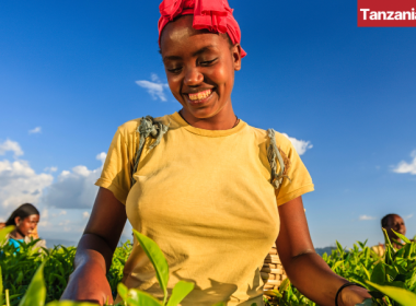 Tanzania Small Business Rural Women