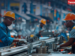 Tanzania industry manufacturing