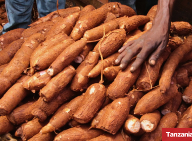 Tanzania Cassava