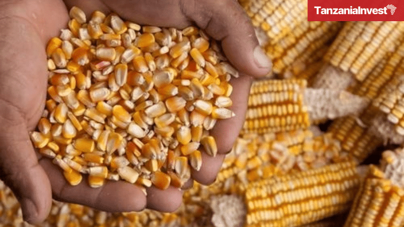 Tanzania Maize