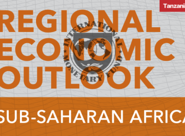 IMF Sub-Saharan Africa Regional Economic Outlook 2025