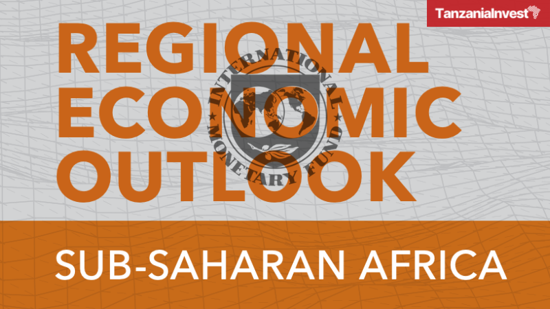 IMF Sub-Saharan Africa Regional Economic Outlook 2025